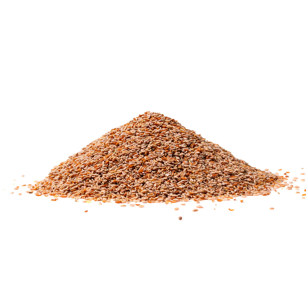 Isabgol (Plantago ovata): The Natural Fiber for Gut Health, Detox & Heart Wellness