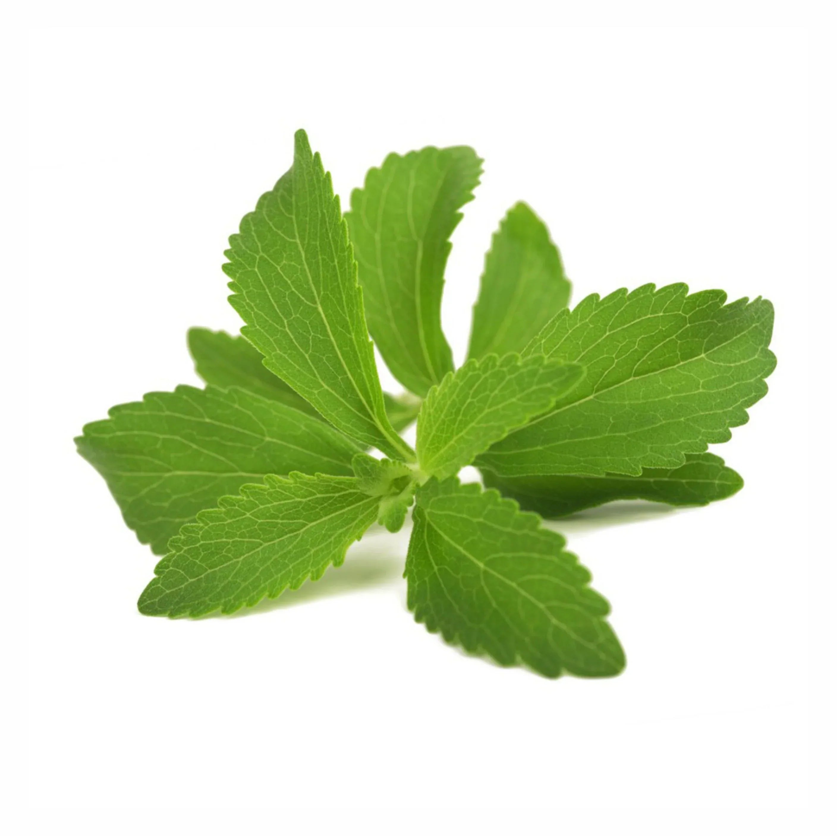 Stevia, Candy leaf (Stevia rebaudiana): The Sweet Leaf with Zero Calories and Natural Health Benefits