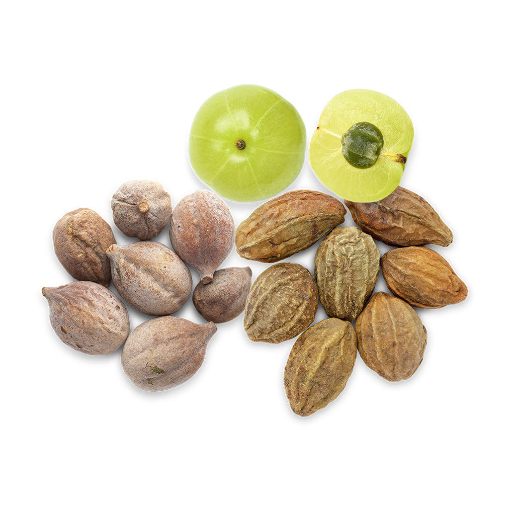 Triphala: The Ancient Ayurvedic Elixir for Digestion, Detox & Longevity