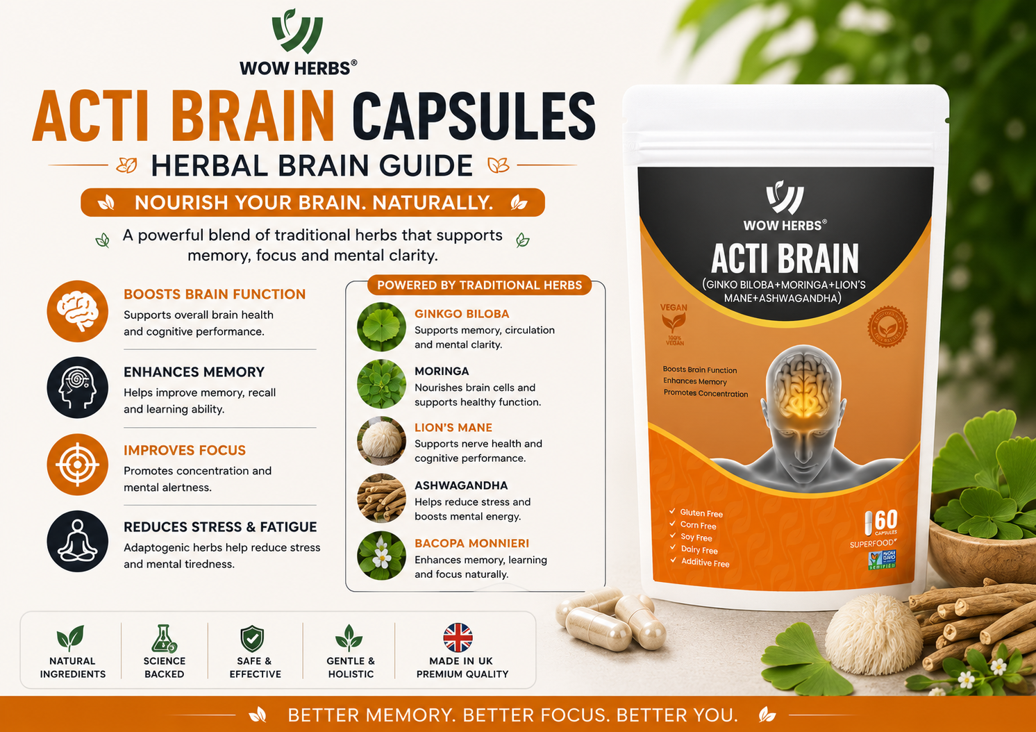 Acti Brain Capsules Benefits — Herbal Brain Guide