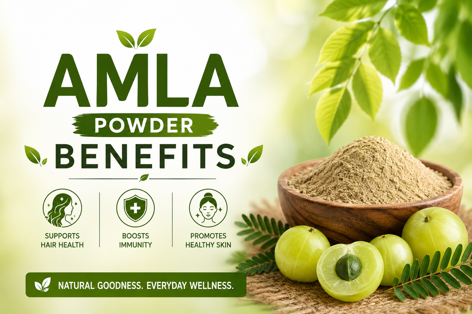 Amla Powder Benefits — What is Amla Good For?