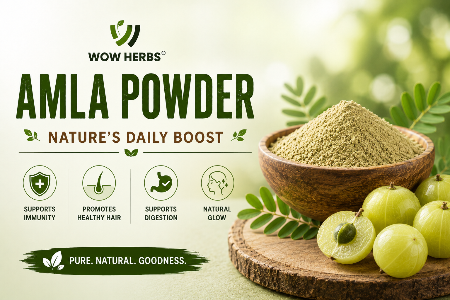 Amla Powder Benefits — What is Amla Good For?