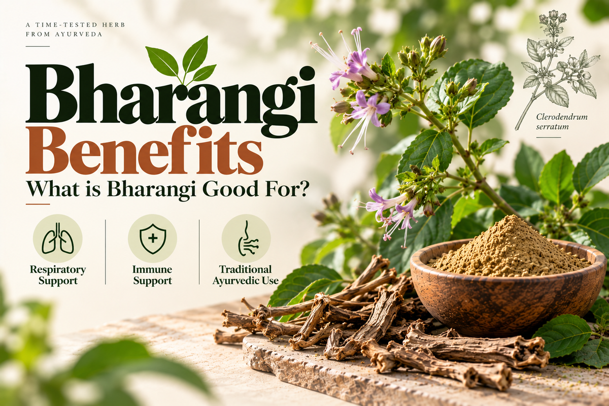 Bharangi Benefits – What is Bharangi Good For?