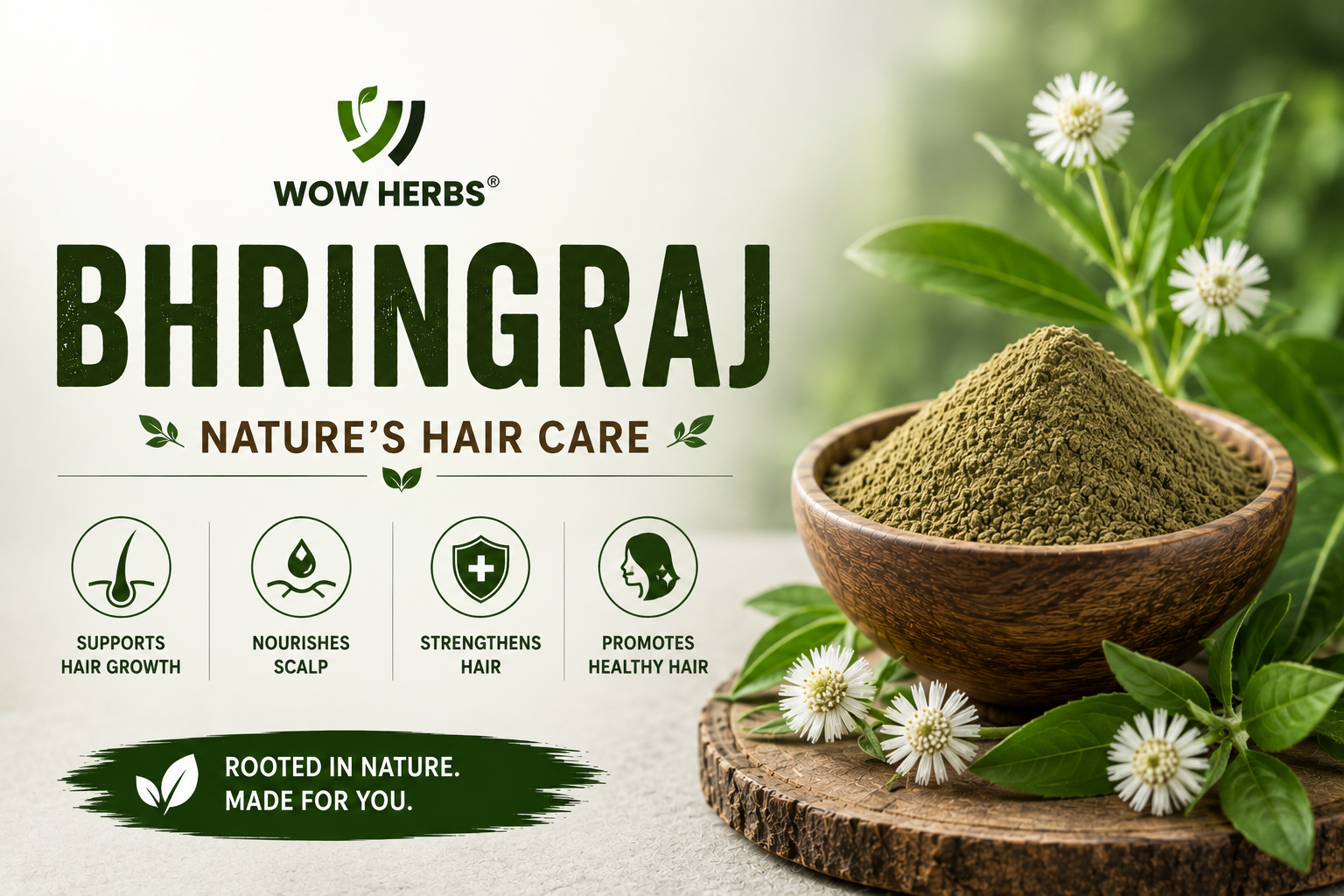 Bhringraj Benefits — What is Bhringraj Good For?