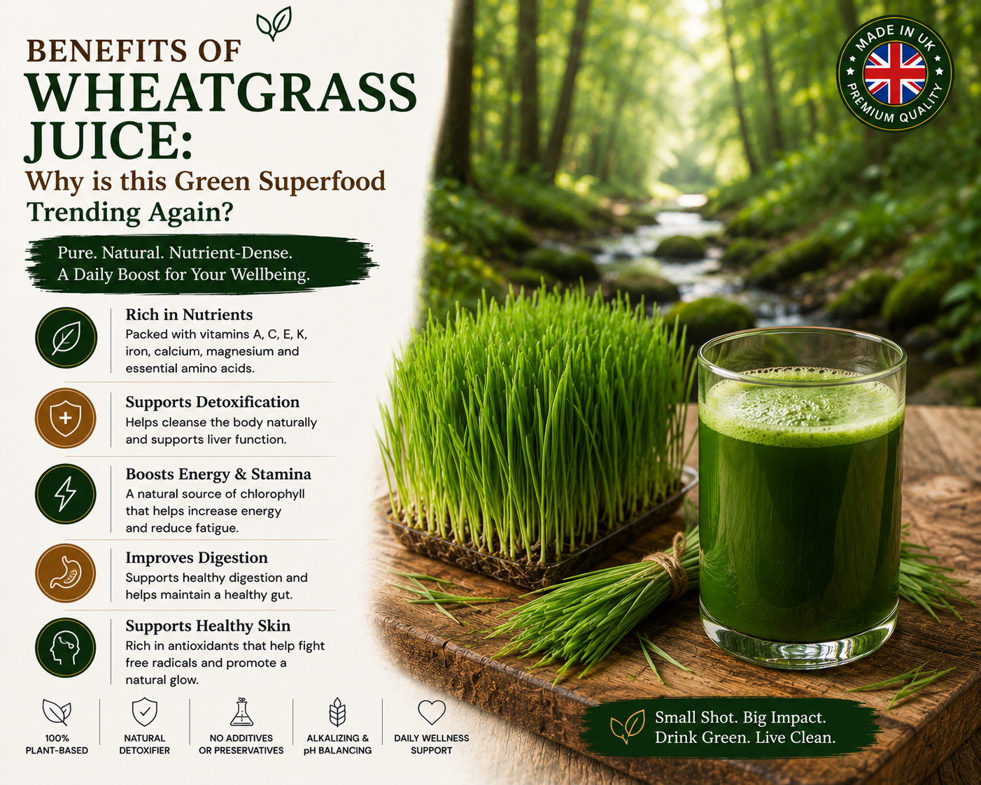 Wheatgrass Juice Benefits: Why This Green Superfood Is Trending