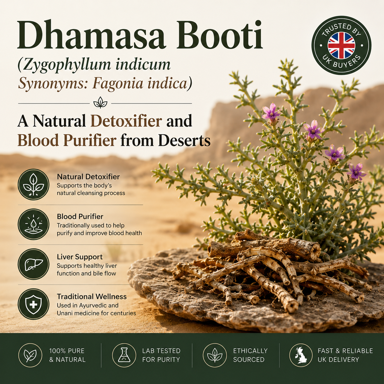 Dhamasa Booti (Zygophyllum indicum Synonyms: Fagonia indica): A Natural Detoxifier and Blood Purifier from Deserts