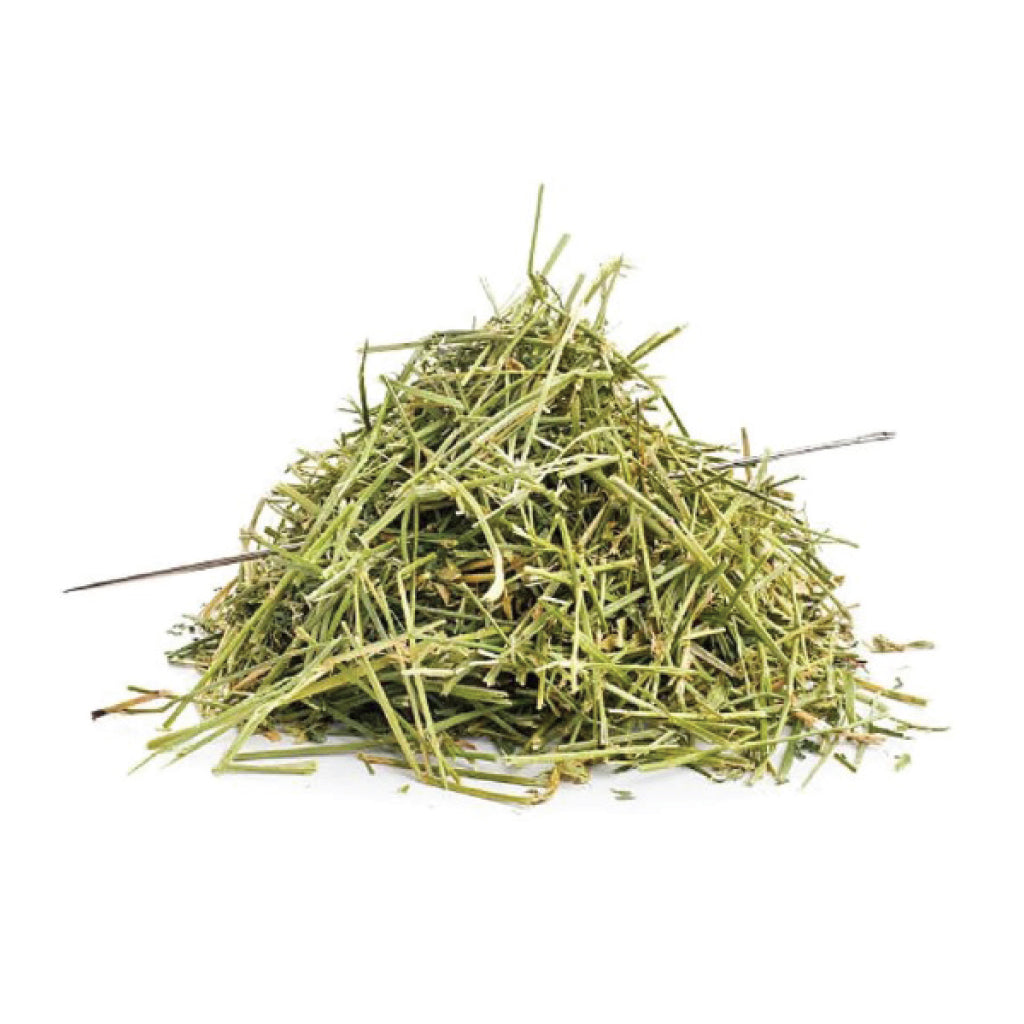 Dhamasa Booti (Zygophyllum indicum Synonyms: Fagonia indica): A Natural Detoxifier and Blood Purifier from Deserts
