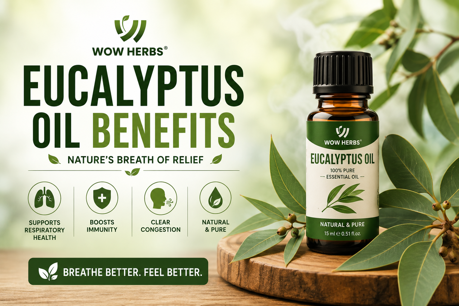 Eucalyptus Oil Benefits — What is Eucalyptus Oil Good For?