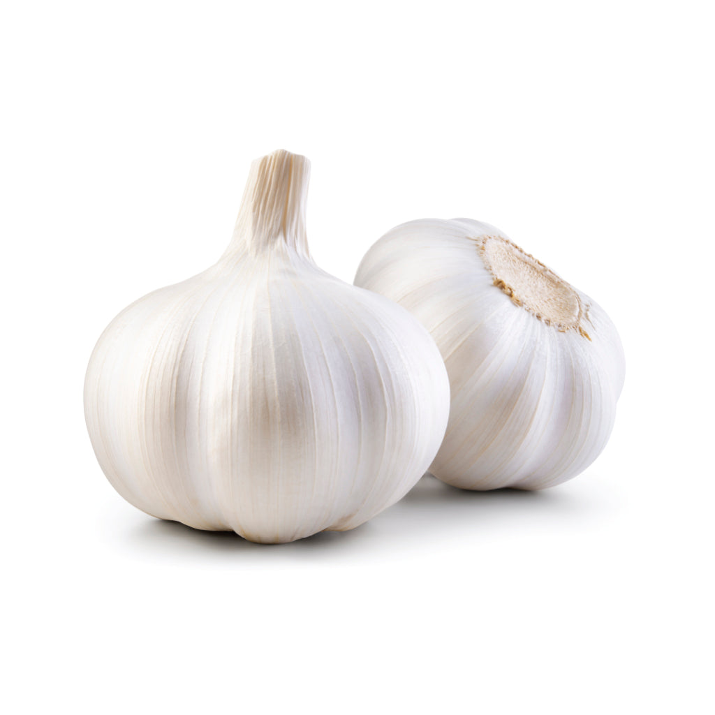 Garlic (Allium sativum): Nature’s Antibiotic for Heart, Immunity &amp; Digestion