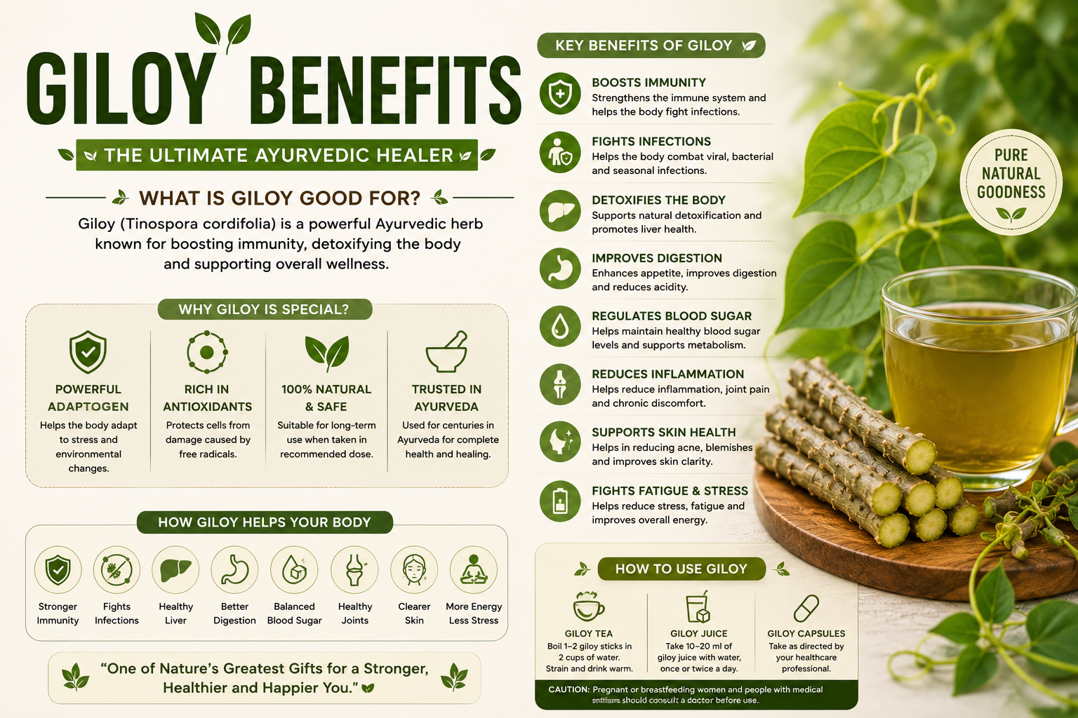 Giloy Benefits — What is Giloy Good For?