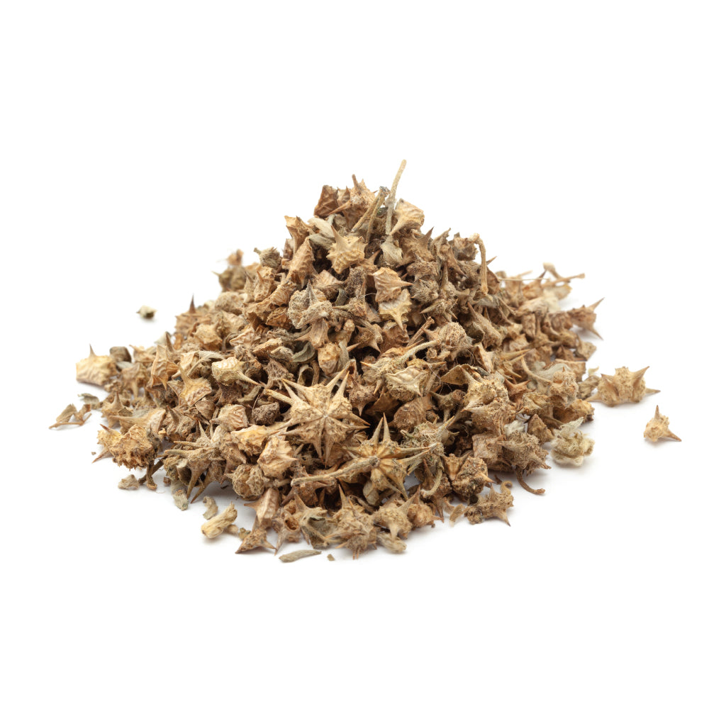 Gokhru (Tribulus terrestris): A Natural Tonic for Kidneys, Vitality &amp; Men’s Health