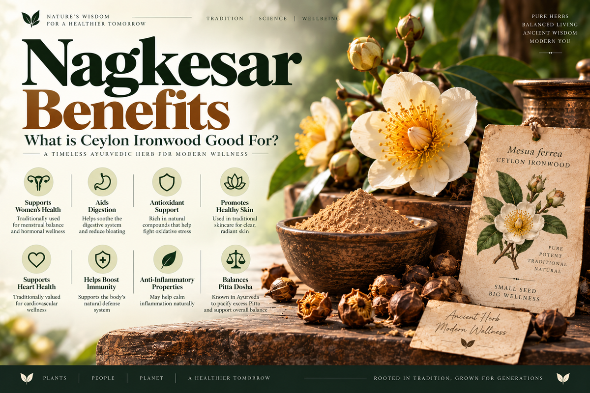 Nagkesar Benefits — What is Ceylon Ironwood Good For?