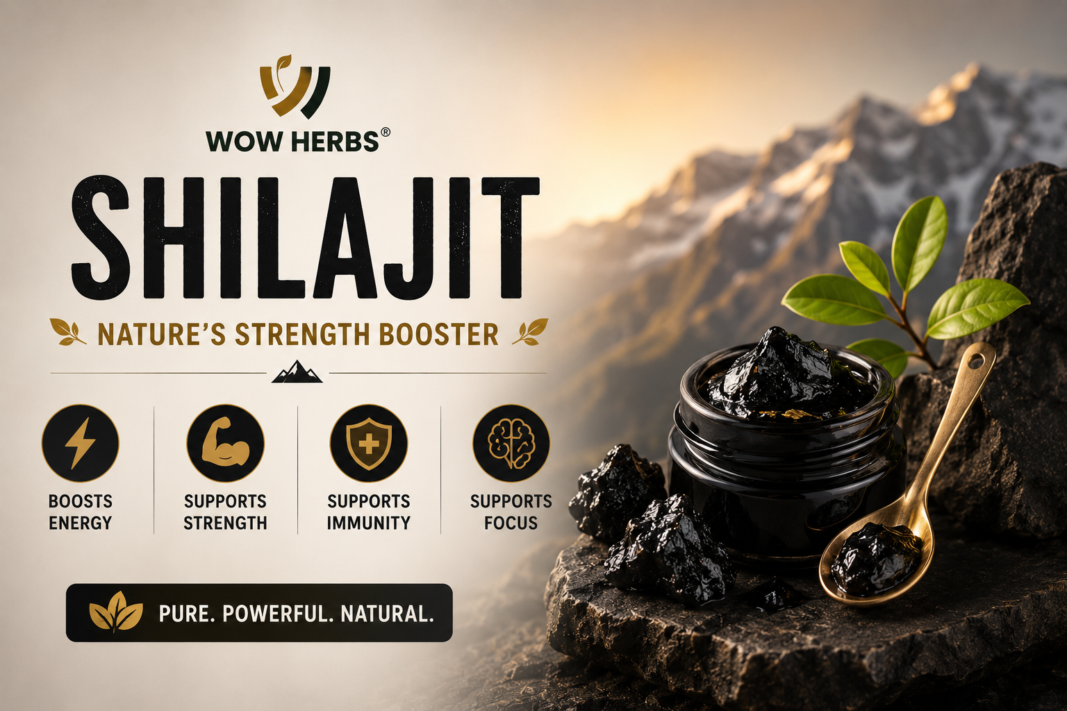 Shilajit Benefits — What is Shilajit & How to Use It