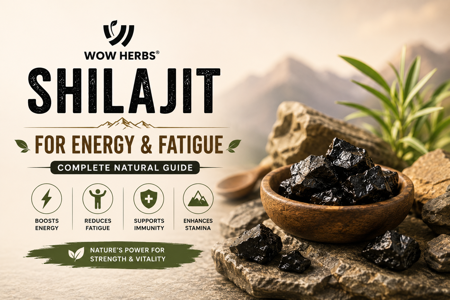 Shilajit for Energy and Fatigue — Complete Natural Guide