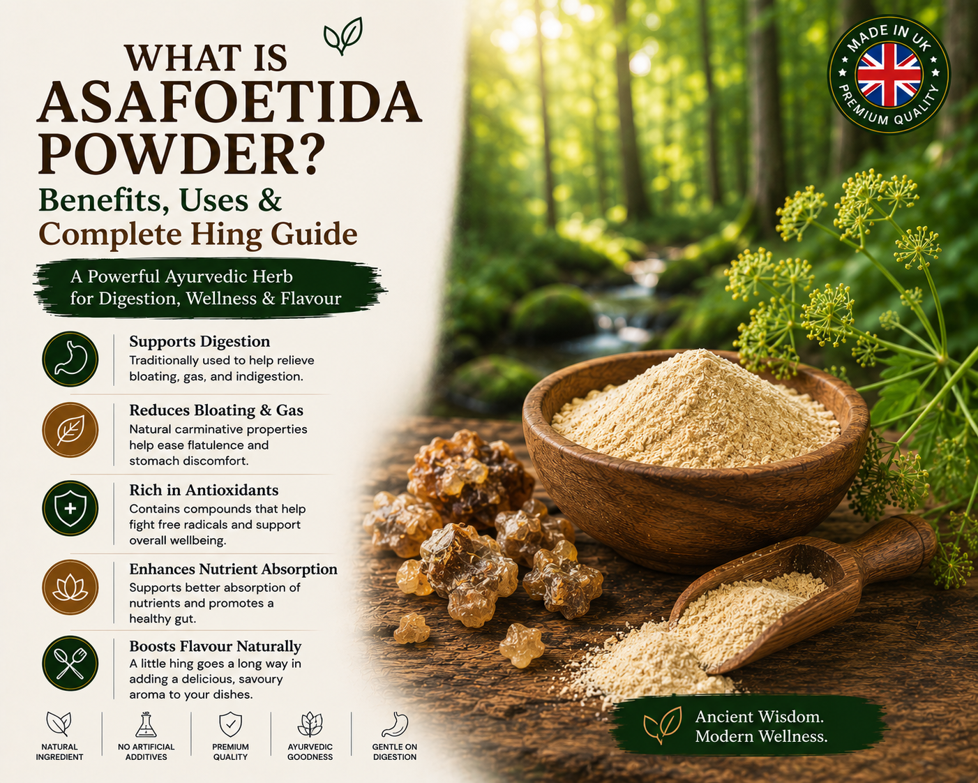 What Is Asafoetida Powder? Benefits, Uses & Complete Hing Guide