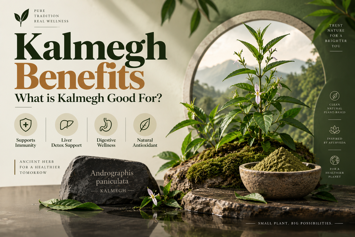 Kalmegh Benefits — What is Kalmegh Good For?