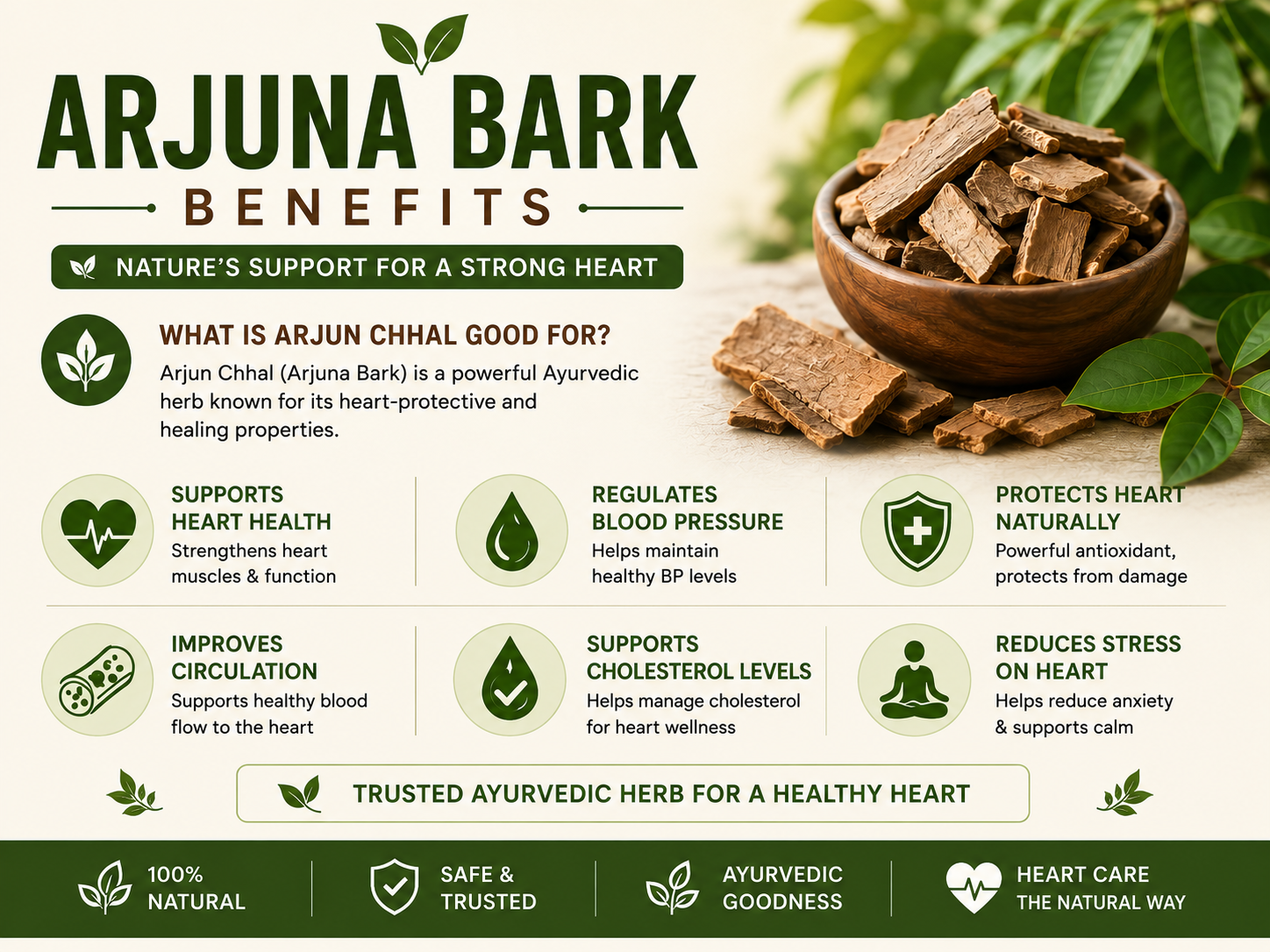 Arjuna Bark Benefits — What is Arjun Chhal Good For?