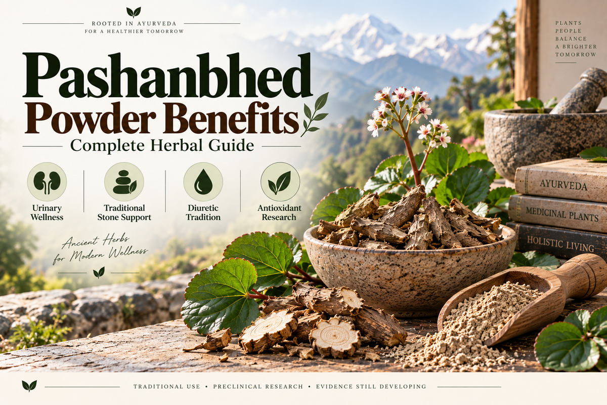 Pashanbhed Powder Benefits — Complete Herbal Guide