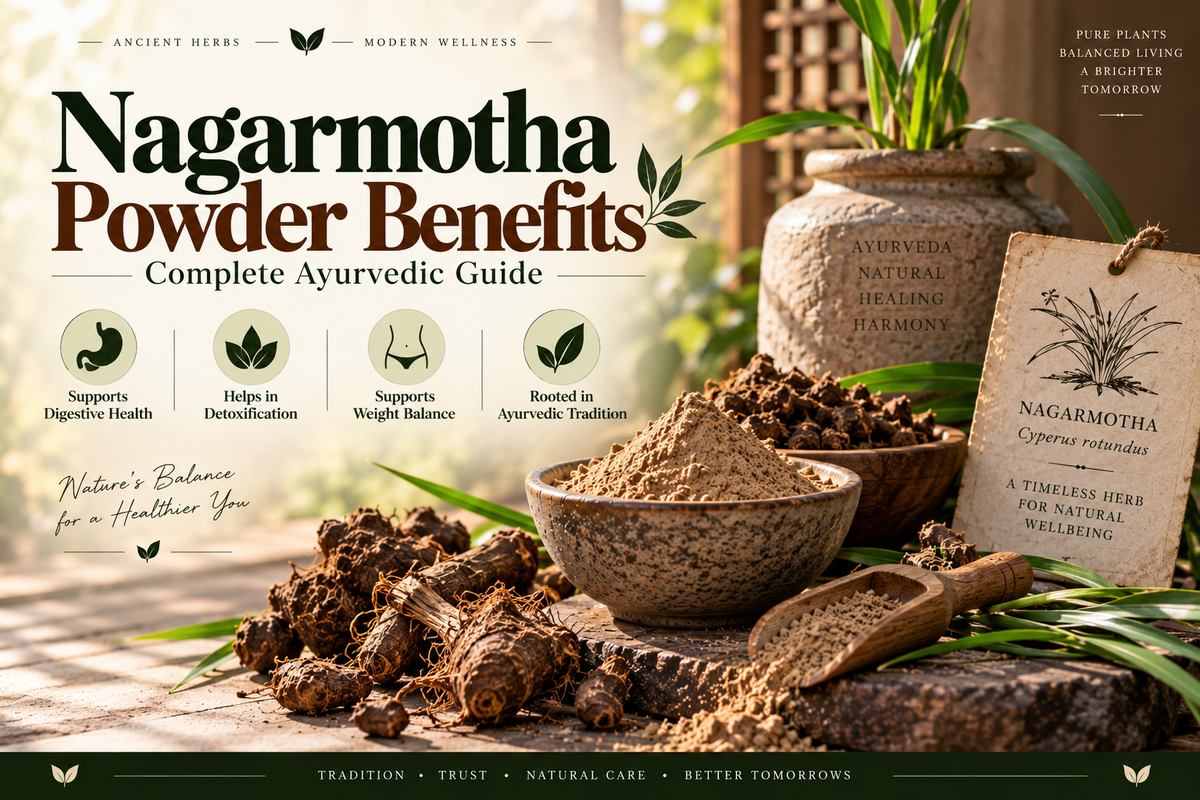Nagarmotha Powder Benefits — Complete Ayurvedic Guide