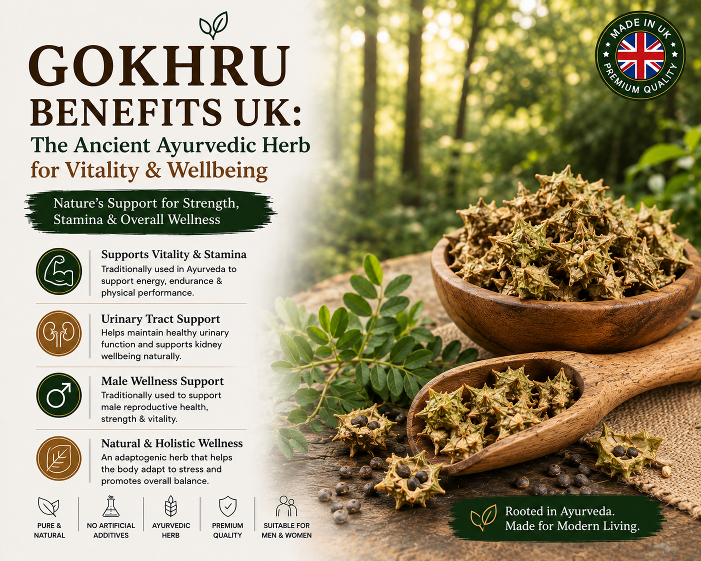 Gokhru Benefits UK — The Ancient Ayurvedic Wellness Guide