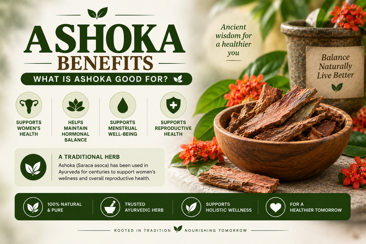 Ashoka Benefits — What is Ashoka Good For?