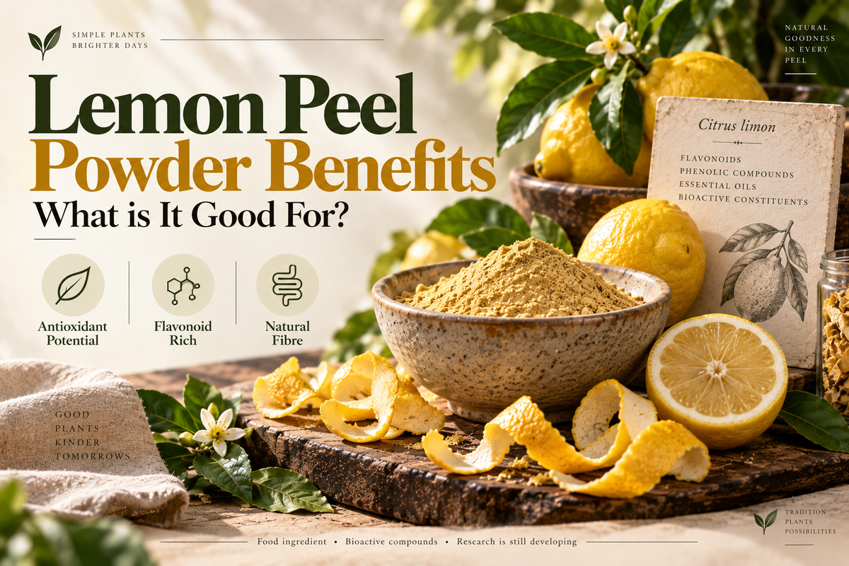 Lemon Peel Powder Benefits — What is It Good For?