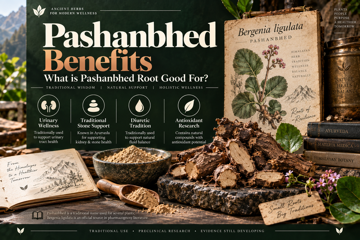 Pashanbhed Benefits — What is Pashanbhed Root Good For?