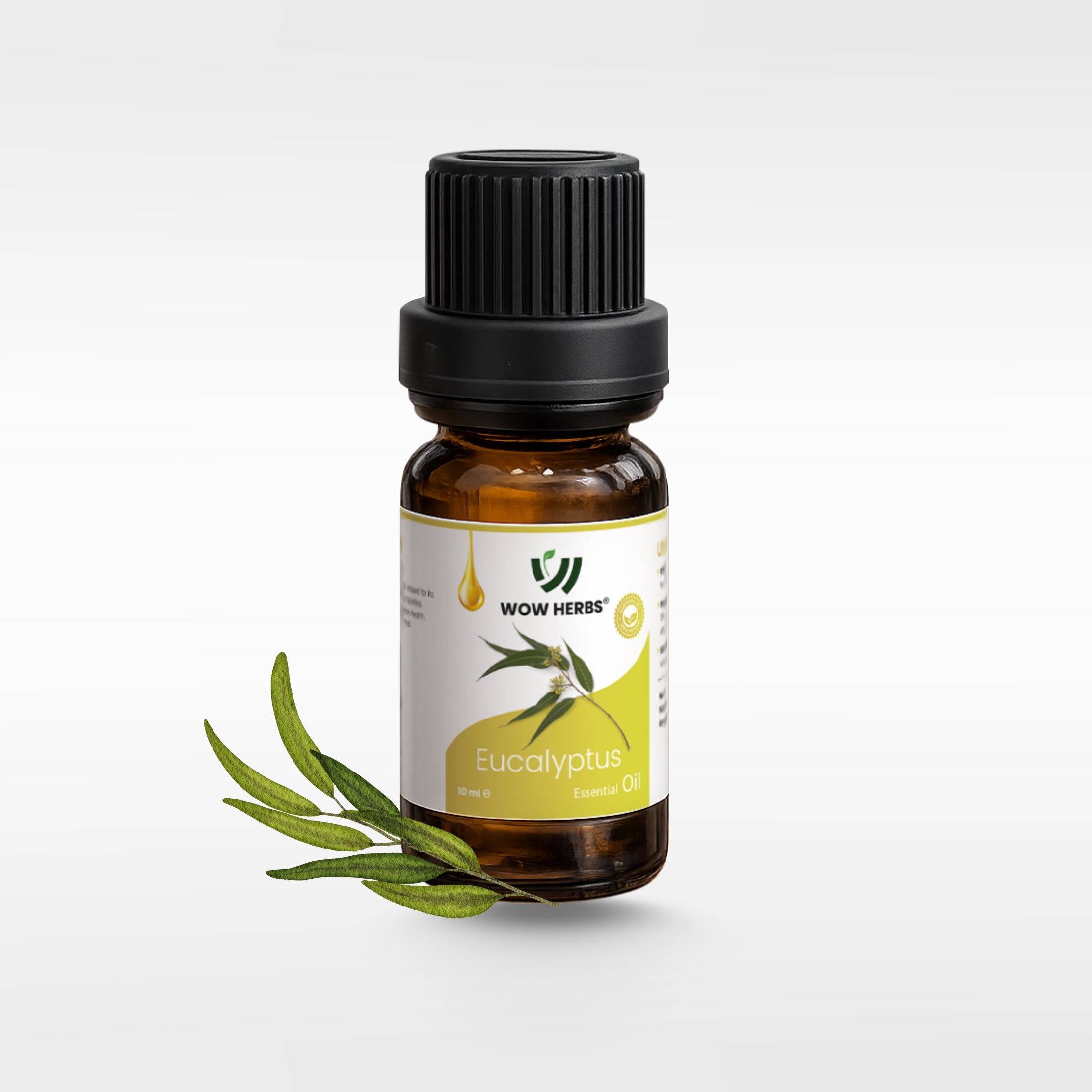 Eucalyptus Essential Oil