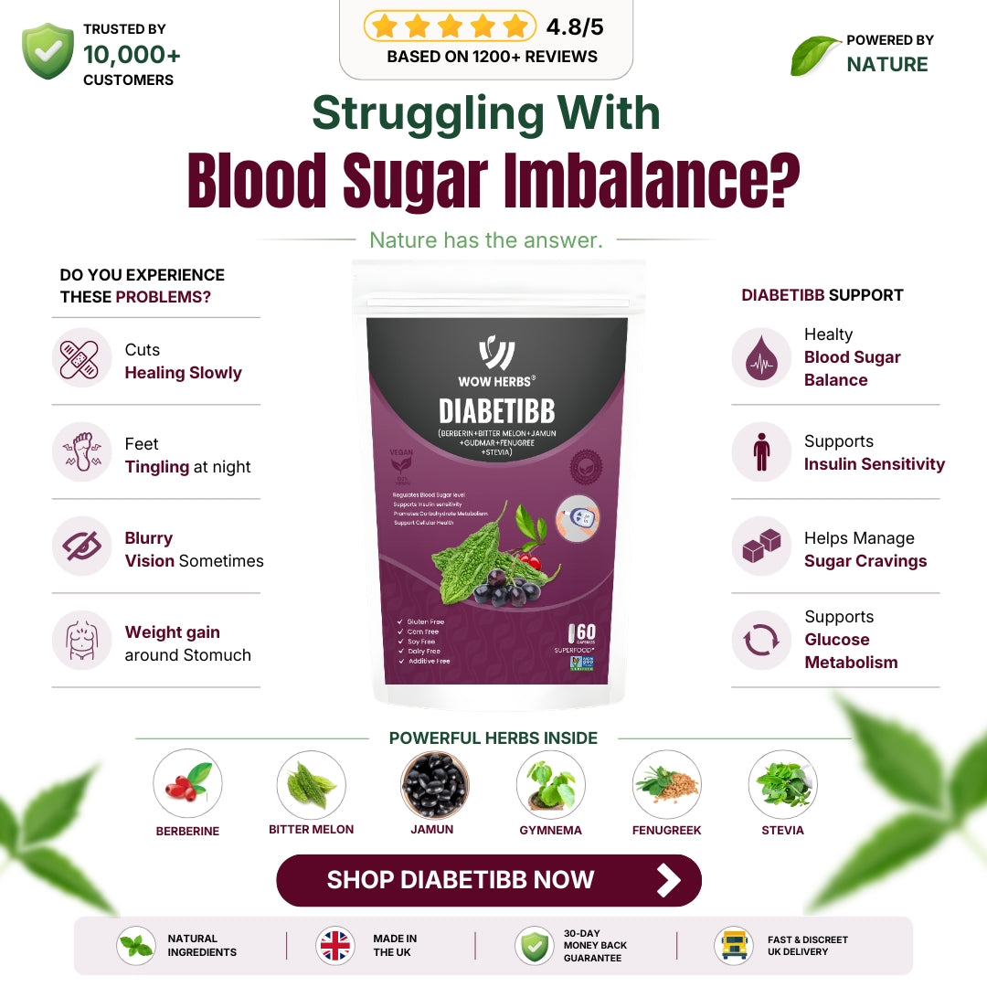 Diabetibb Herbal Wellness Capsules UK | Organic Daily Support
