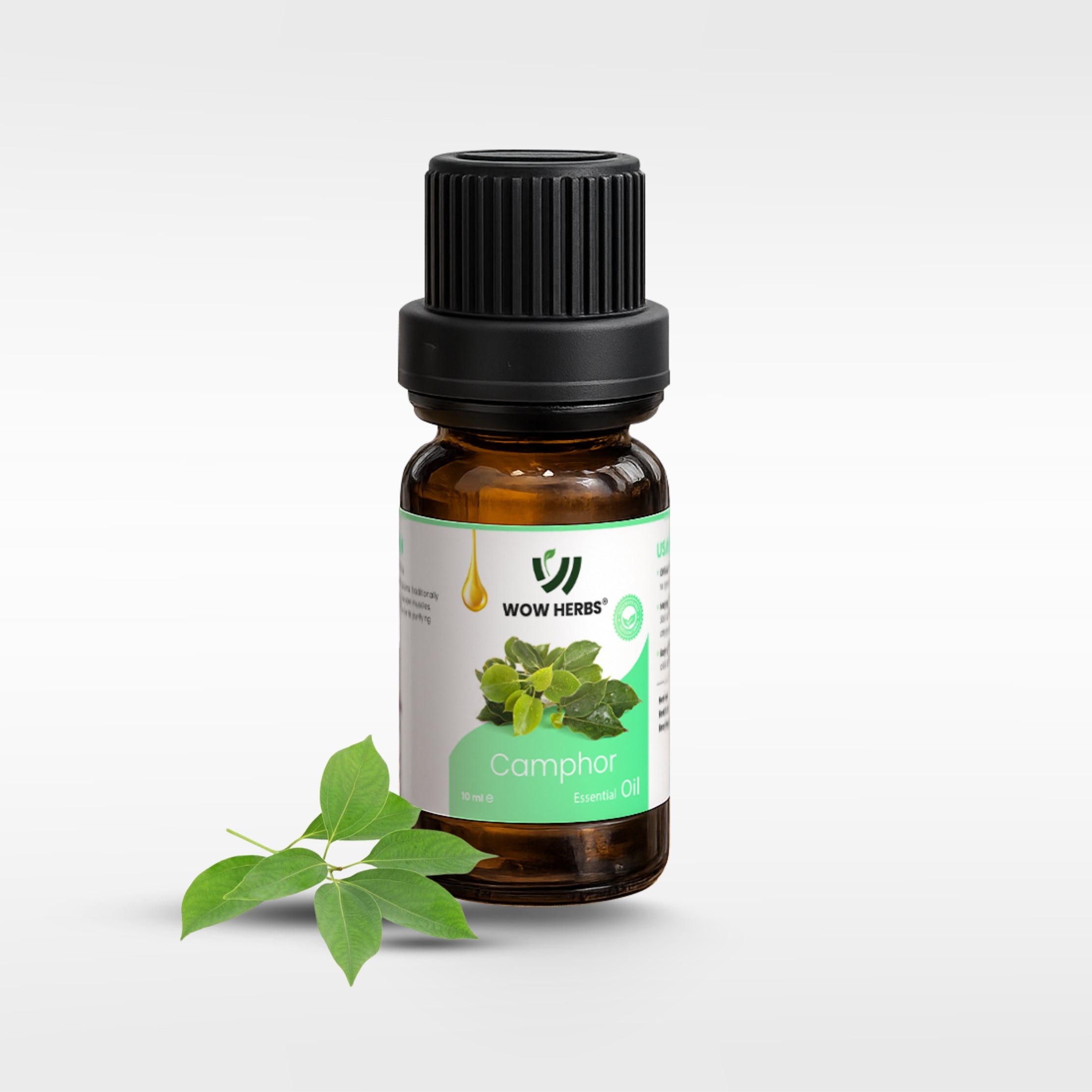Camphor Essential Oil