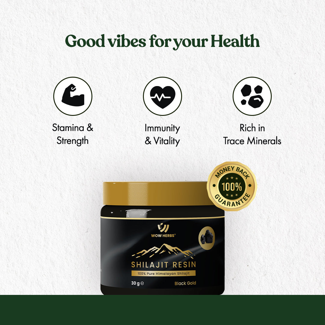 Shilajit resin
