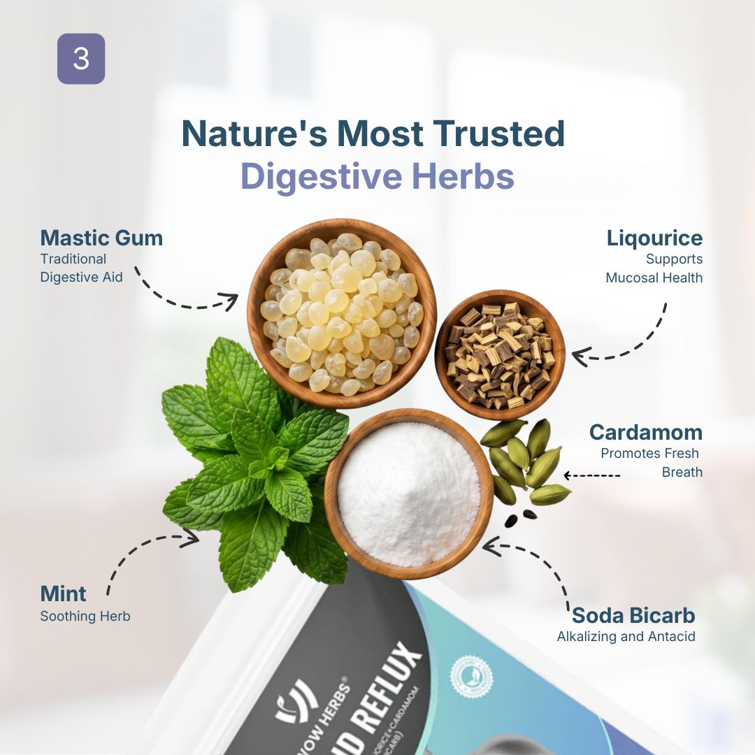 WOW HERBS No-Acid Reflux