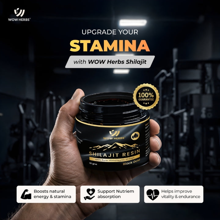 Hand holding a jar of WOW Herbs Shilajit Resin with gym equipment in the background