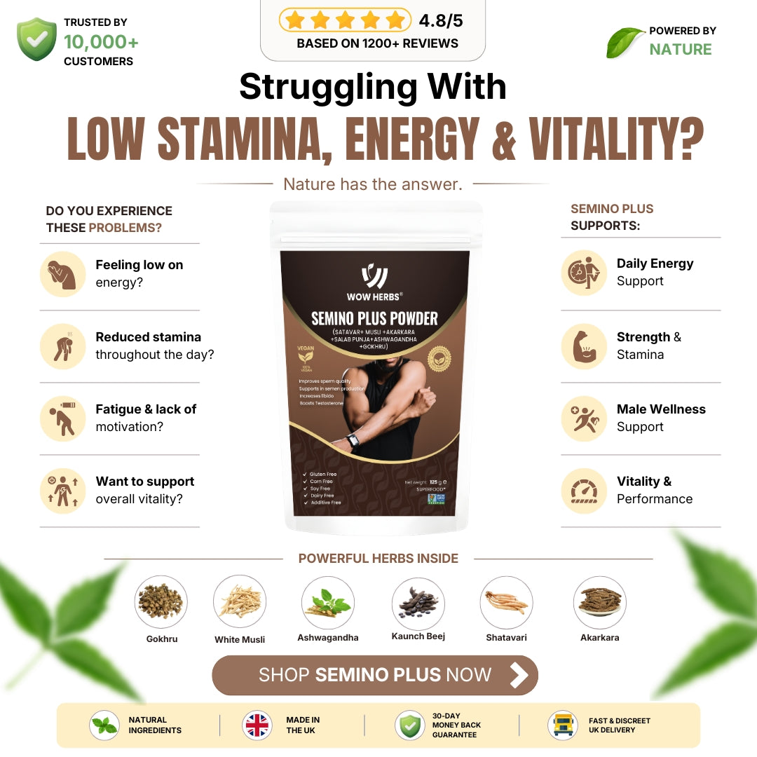 Semino Plus Powder | Ayurvedic Herbal Wellness Blend