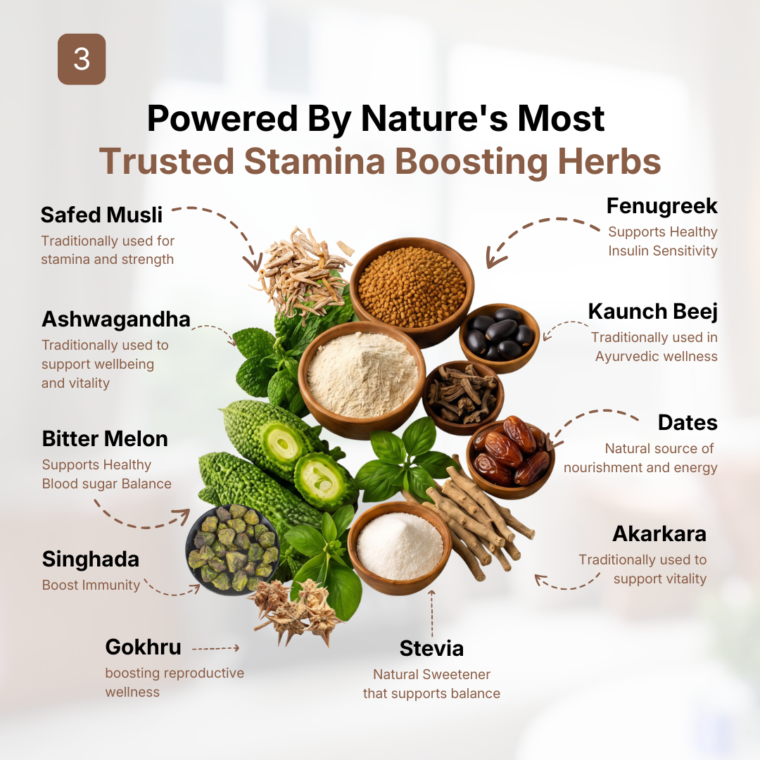 Semino Plus Powder | Ayurvedic Herbal Wellness Blend