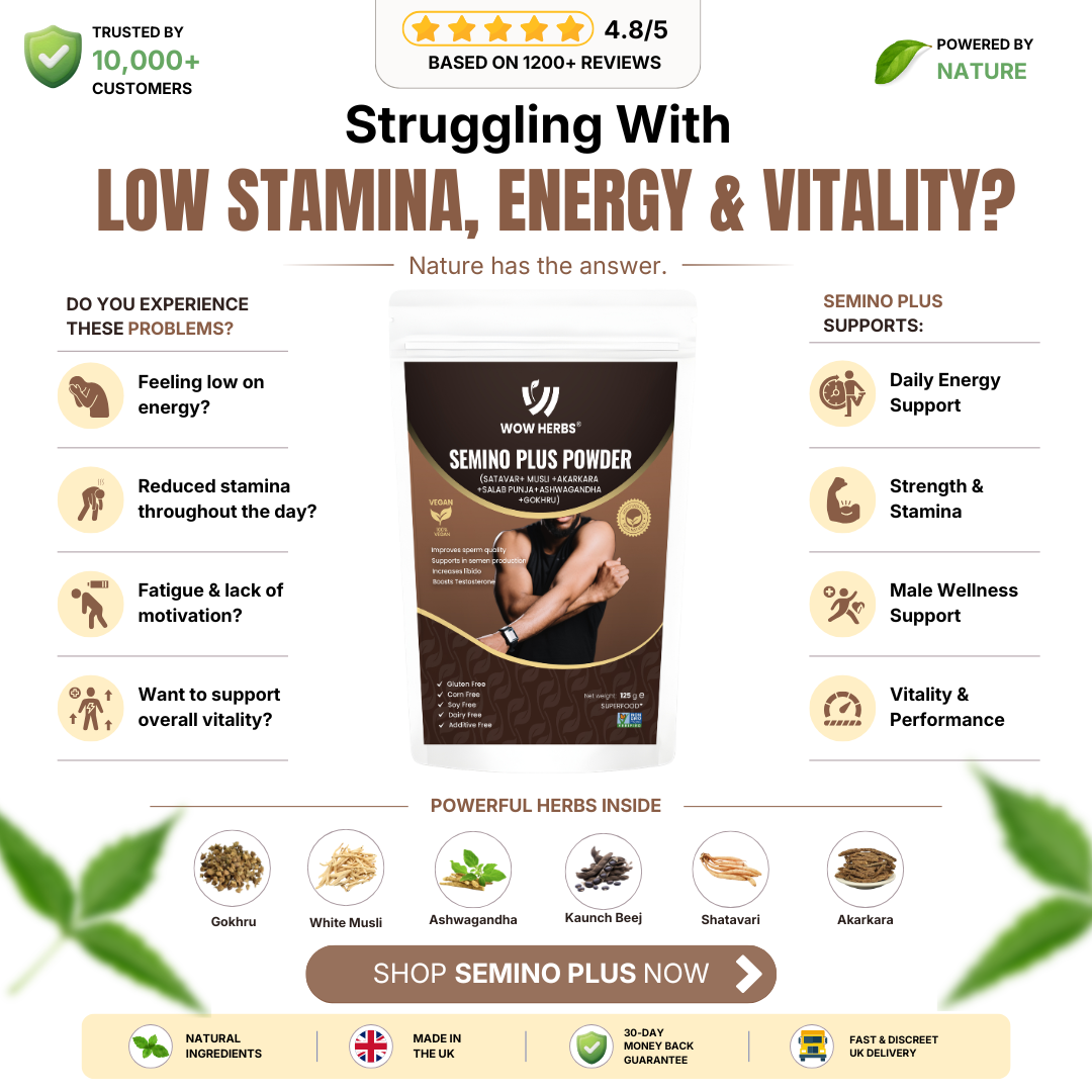 Semino Plus Powder | Ayurvedic Herbal Wellness Blend