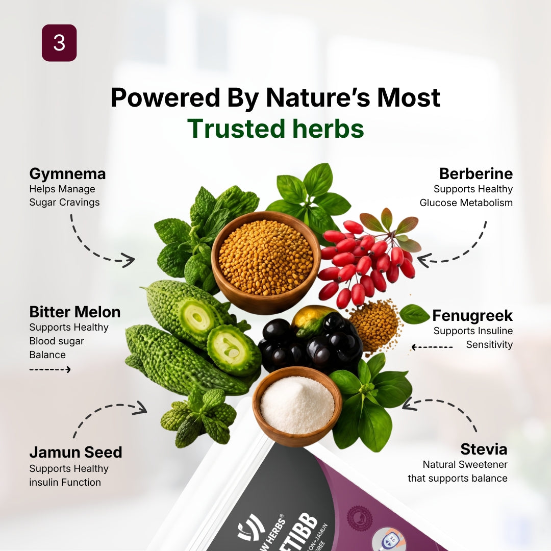 Diabetibb Herbal Wellness Capsules UK | Organic Daily Support