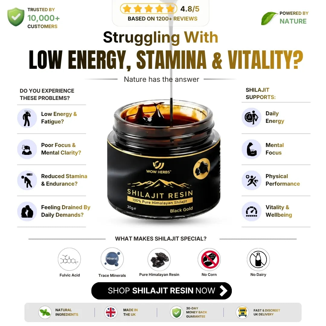 Himalayan Shilajit Resin