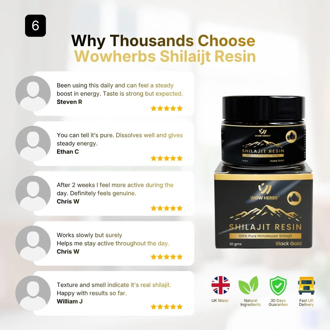 Himalayan Shilajit Resin